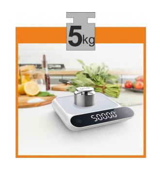 Digital Scale High Precision