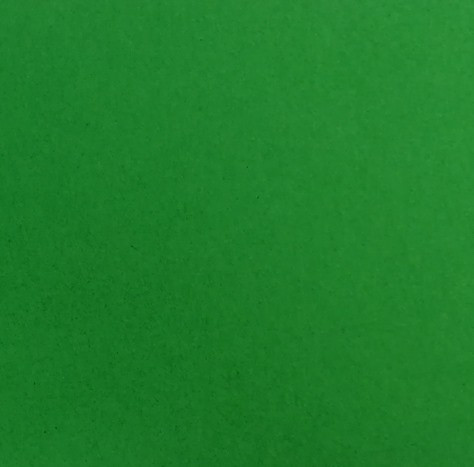 A4 220gsm Pulpboard Green
