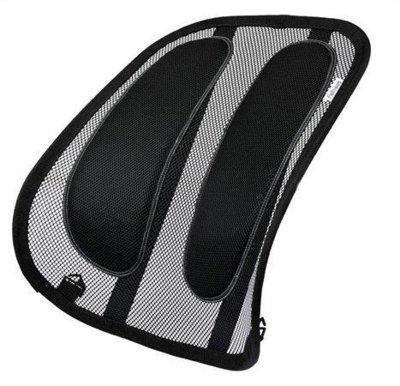 Mesh Back Support
