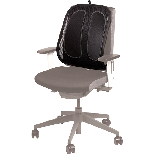 Mesh Back Support