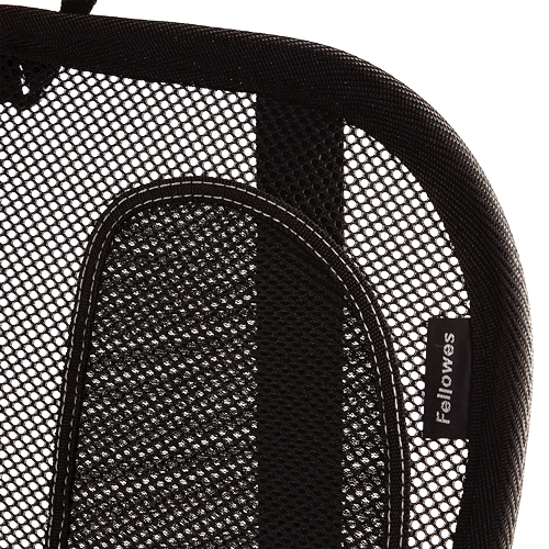 Mesh Back Support