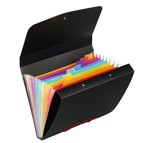 Expandable Wallet with Ring File
