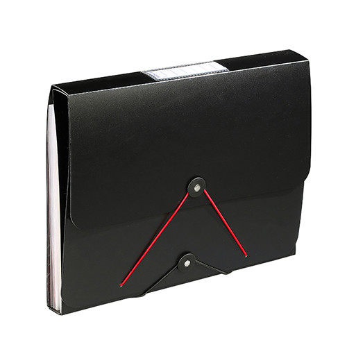 Expandable Wallet with Ring File