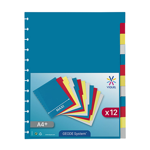MAXI Plastic Dividers Set of 12 colours