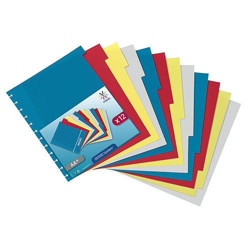 MAXI Plastic Dividers Set of 12 colours