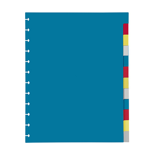 MAXI Plastic Dividers Set of 12 colours