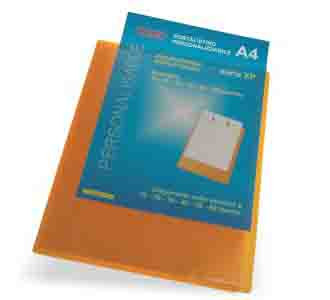 Display Book Transparent 60 pockets