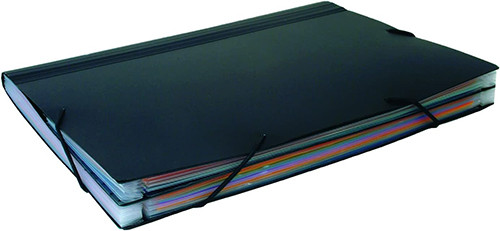 Expandable Wallet 18 Compartment Extendable Sorter