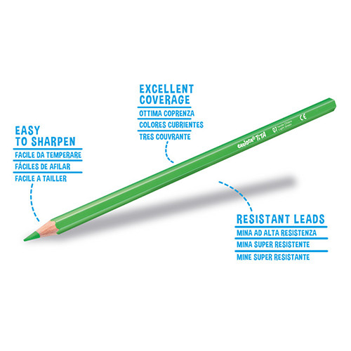 Long & Thick Pencil Colours Tube of 12 + Sharpener