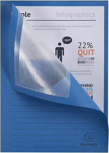 Slip Files Blue 
Pack of 100