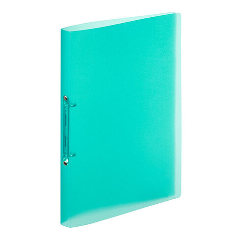 'Viquel' A4 Flexible Plastic 2 Ring File Transparent Green