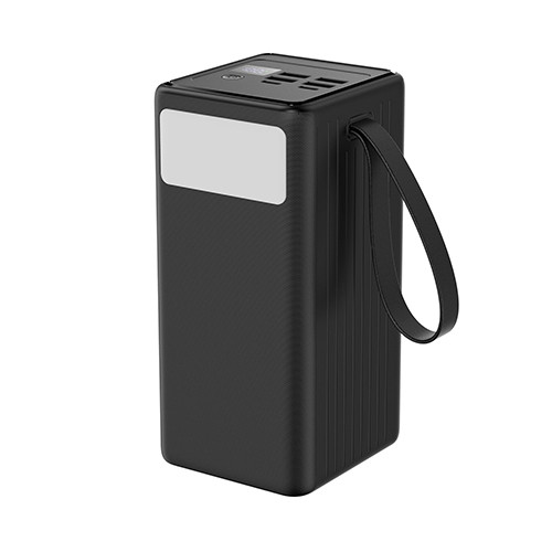 Power Bank 'Platinet'