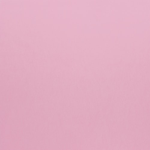 A4 250gsm Rosa Cardboard