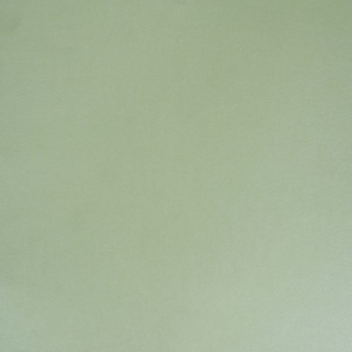A4 120gsm Green Glossy Paper
