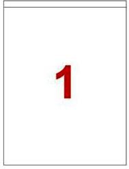 Labels 210 X 294.86mm
Pack of 100