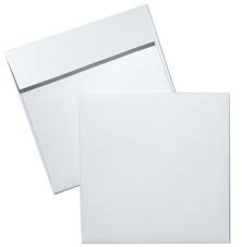 Wages Envelopes White 10.7 x 10.7cm
Box of 1000