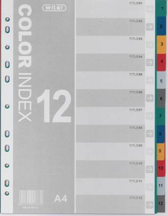 Plastic Dividers Set of 12 colours