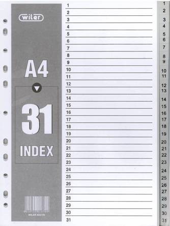 Plastic Dividers Numbered 1 to 31