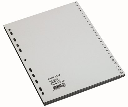 Plastic Dividers Numbered 1 to 100