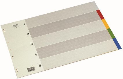 A3 Landscape Plastic Dividers Set of 5 colours