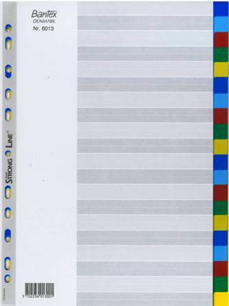 Plastic Dividers Set of 20 colours