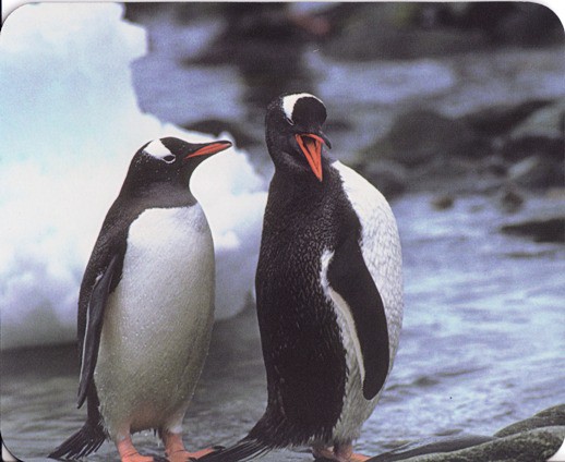 Mouse Pad 'Penguins'