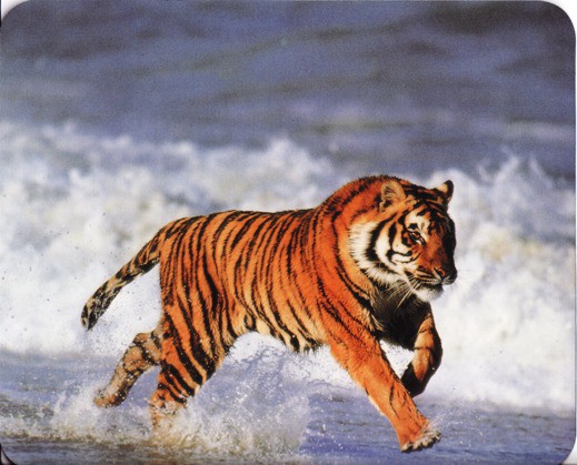 Mouse Pad 'Tiger'