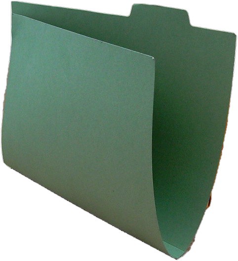 Carton Tab File Green