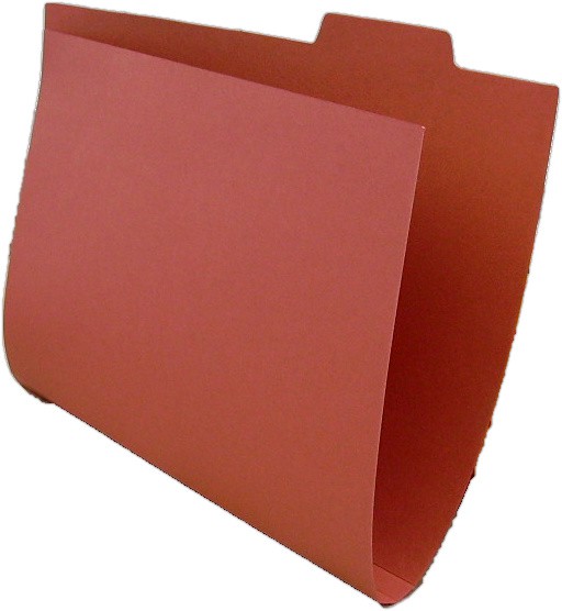 Carton Tab File Orange