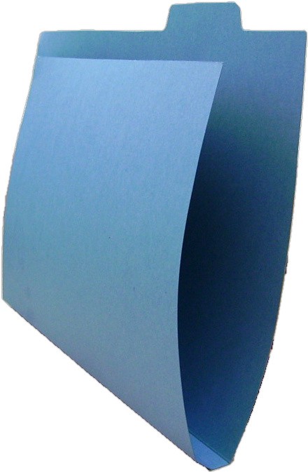 Carton Tab File Blue