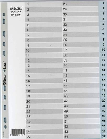 Plastic Dividers Numbered 1 to 54