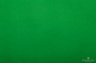 Kite Paper 51 x 76cm Green