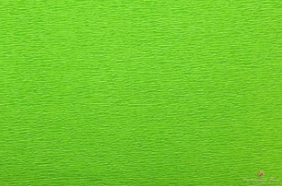 Crepe paper 50 x 250cm Light Green