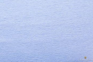 Crepe Paper 50 x 250cm Light Blue