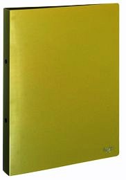 A4 Flexible Plastic 2 Ring Binder Green