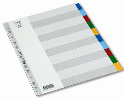 Plastic Dividers Set of 10 colours Extra Wide