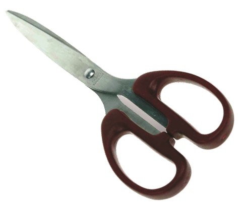 21cm Scissors