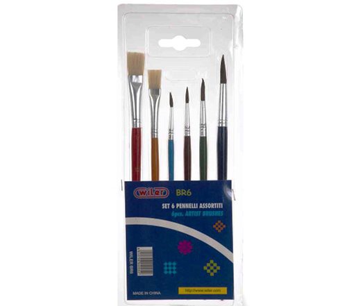 Paint Brushes Set of 6