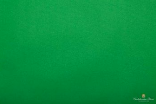 Kite Paper 51 x 76cm Light Green
